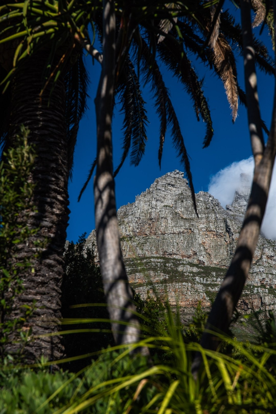 To Let 4 Bedroom Property for Rent in Camps Bay Western Cape